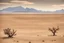 Placeholder: clouds, arid land, distant mountains, dry trees