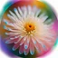 Placeholder: Plop paint spill pearlized translucent floralscape white flower fantasy art concept, acid accent, high contrast texture photography, deep pastel color