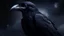 Placeholder: Crow in a space and space souls