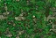 Placeholder: A dark green jungle with a baseball field painted by Keith Haring