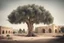 Placeholder: aqsa palestine tree olive creative