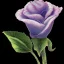 Placeholder: purple flower, greeting card illustration