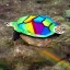 Placeholder: turtle and rainbow