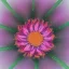 Placeholder: microphotography top-down view of a single flower, one flower, high definition, detail, HD, 8k, realistic, 3d rendering, blender, photography, fisheye, bulge, bokeh microbiology, intricate, detailed, blues, reds, yellows, greens, pinks, purples, oranges, indigos