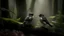 Placeholder: Detail of two small birds with light breasts and dark caps on branches in a misty wooded environment.