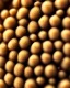 Placeholder: close up photo of Sesame Seeds. Realistic photo. HD. Glowing. 3d style