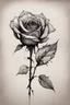 Placeholder: A drawing of a dry dead flower rose with a fallen petal in black ink fine art