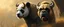 Placeholder: panda dog bison boxer orc