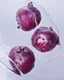 Placeholder: pomegranate fruit refraction under water