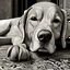 Placeholder: a black and white 3D image of a light brown labrador lying down, surreal and otherworldly, intricate linework, mind-bending composition, intricate patterns in the fur,masterful use of light and shadow,masterful use of light and shadow,masterful use of light and shadow, dreamlike quality, detailed linework akin to Moebius, intricate details, vibrant and contrasting colors, Artstation for showcasing.