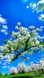 Placeholder: Cherty blossom against a beautiful blue sky