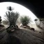 Placeholder: A striking quality photograph captures a wasteland with groups of plants, creepy, details of the dust very accentuated, glossy organic mass, adorned with minerals and rocks. Bathed in intense light, eerie, Max Ernst style, black sun, fog