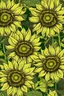 Placeholder: sunflowers