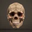 Placeholder: crystal skull portrait, simmetric eyes, ambient, ultra realistic photo, unreal engine, paloroid, 100mm --aspect ratio 1:1