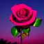 Placeholder: beauitful rose in moonlight