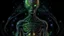 Placeholder: Creepy Alien full body DMT interdimensional