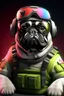 Placeholder: doc from Rainbow Six Siege as a pug