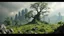 Placeholder: This realm has no plant life. All vegetated areas are petrified. Just about all organisms are made from textiles.