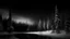 Placeholder: christmas time,photo of a snowy fir forest,christmas trees,black and white, midnight hour,fireflies,lakeside,8k, volumetric lighting, Dramatic scene,splash color,