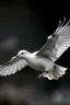 Placeholder: Gambar merpati yg sedang terbang