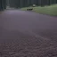 Placeholder: The Yalu Brick Road [MASH S8.E10] Hawkeye and BJ get lost in enemy territory while Klinger's Thanksgiving turkey sickens most of the camp with salmonella.