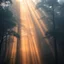 Placeholder: Award-winning fine art photography of majestic ancient forest illuminated by dramatic shafts of sunlight piercing through morning mist, extraordinary atmosphere, immersive depth, poetic composition, professionally captured in National Geographic fine art style, ultra realistic, masterpiece, gallery exhibition quality,, 64 k