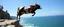 Placeholder: female bay watch traffic cop priest cow, cliff diving in the olympics