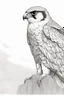 Placeholder: "Create an AI line art piece featuring the Peregrine Falcon, half body short, front short, one of nature's fastest and most agile predators. Capture the bird in flight, showcasing its incredible speed and grace. Highlight the intricate details of its feathers and the intensity in its eyes, embodying the essence of this magnificent raptor."