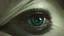 Placeholder: An oil painting art with a dark theme that evokes the words "But now he has eyes of a different color"