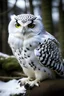 Placeholder: Snow Owl: Appearance: The snow owl is a beautiful, large bird with a white plumage that helps it blend seamlessly into the snowy surroundings. It has distinctive tufts of feathers on its head, giving it an almost regal appearance.