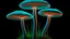 Placeholder: tall narrow delicate detailed mushrooms, with umbrella caps, phosphorescence glowing in the night