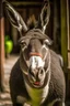 Placeholder: Smiling donkey