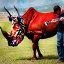 Placeholder: musician mounting a red rhino