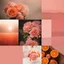 Placeholder: romantic mood board, warm pink and orange colours, photo quality