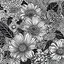 Placeholder: floral print, comic book style, artline,2d, only black and white, white background, black lines, only white