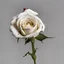 Placeholder: A white rose bleeding from its stem