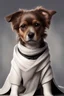 Placeholder: anakin skywalker as a dog