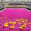 Placeholder: Tehran's Azadi Square, which is pink in color and surrounded by yellow plastic ducks