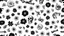 Placeholder: tracery of flowers, bones and skulls, black and white, Maximum minimalism