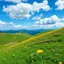 Placeholder: beautiful Green hills covered with flowers colorfull ,blue sky pretty clouds ,some strange flowers with love sumbol ,wonderfull mountains at distance