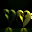 Placeholder: two hearts, dark green and yellow colours, romantic atmosphere