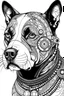 Placeholder: Steampunk Pitbull portrait, American Bully, faun champagne tri-colour, Line art, think the line, colouring book, black and white