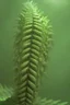 Placeholder: Fern monster, hyperrealistic cinematic, extreme closeup, sharp focus, detailed and intricate, cinematic composition