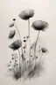 Placeholder: Minimalist ink pencil and charcoal drawing of poppies