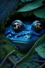 Placeholder: Blue Toad eyes peeking trough a forest