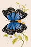 Placeholder: very beautiful butterfly