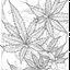 Placeholder: Coloring page for toodlers, with "weed" genree, very Bold outlines and white background, anime style, minimal number of elements, very simple