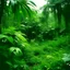 Placeholder: Nebraska 1997 Rain Forest Photo