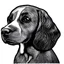 Placeholder: cartoon line drawing of spaniel standing in profile in black and white no background