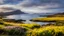 Placeholder: 2117. View on the Scottish island of Eigg, with beautiful sky, early morning spring sunshine, heather, gorse, traditional croft, coast, sandy beach, sea, island of Rhum, craggy mountains, basalt, beautiful composition, exquisite detail, 80mm lens, lucid colour, clear air, islands, foreshore